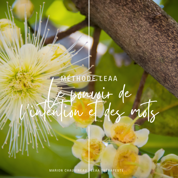 Post Insta LEAA Outils (6)